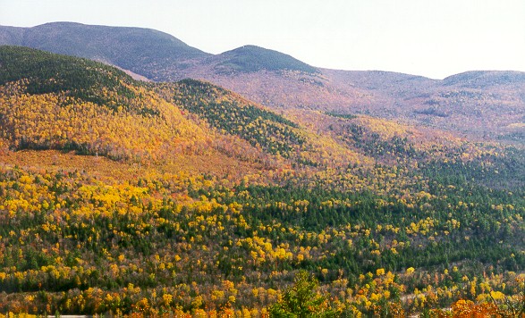 NH9.JPG (106454 bytes)